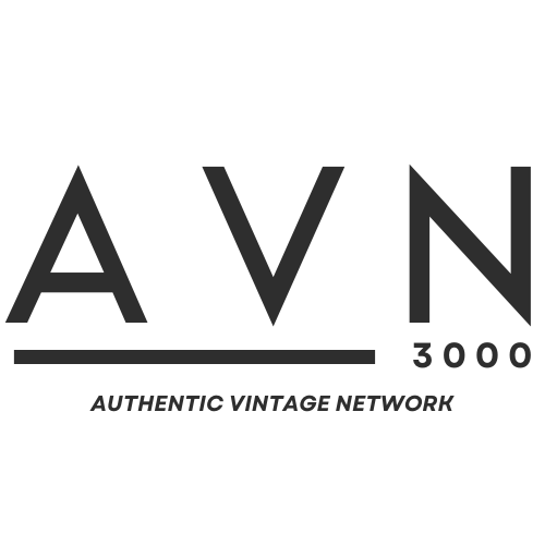 AVN 3000